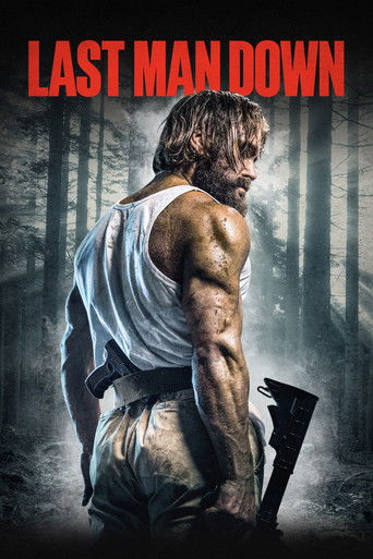 Kẻ Báo Thù Cuối Cùng (Last Man Down)