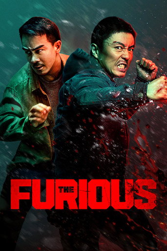 Cơn Thịnh Nộ (The Furious)