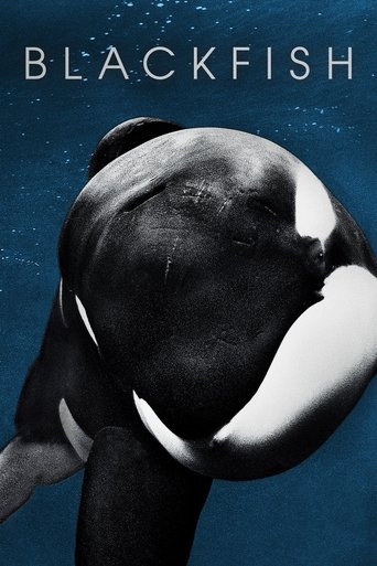 Cá đen (Blackfish)