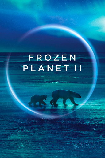 Hành Tinh Băng Giá 2 (Frozen Planet II)