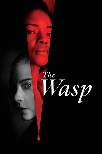 Con Ong Bắp Cày (The Wasp)