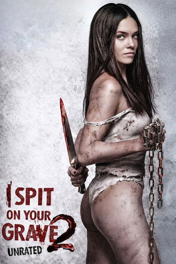 Cô Gái Báo Thù 2 (I Spit on Your Grave 2)
