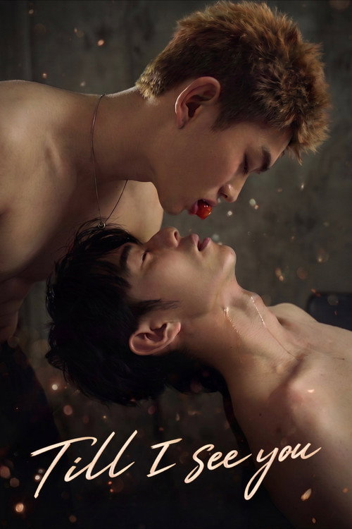 Tôi Muốn Gặp Cậu (Till I See You)